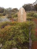 image of grave number 513021